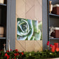Garden of Delights - Canvas - Succulent