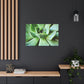 "Garden Paradise" - Canvas - Succulent