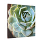 "Blooming Garden" - Canvas - Succulent