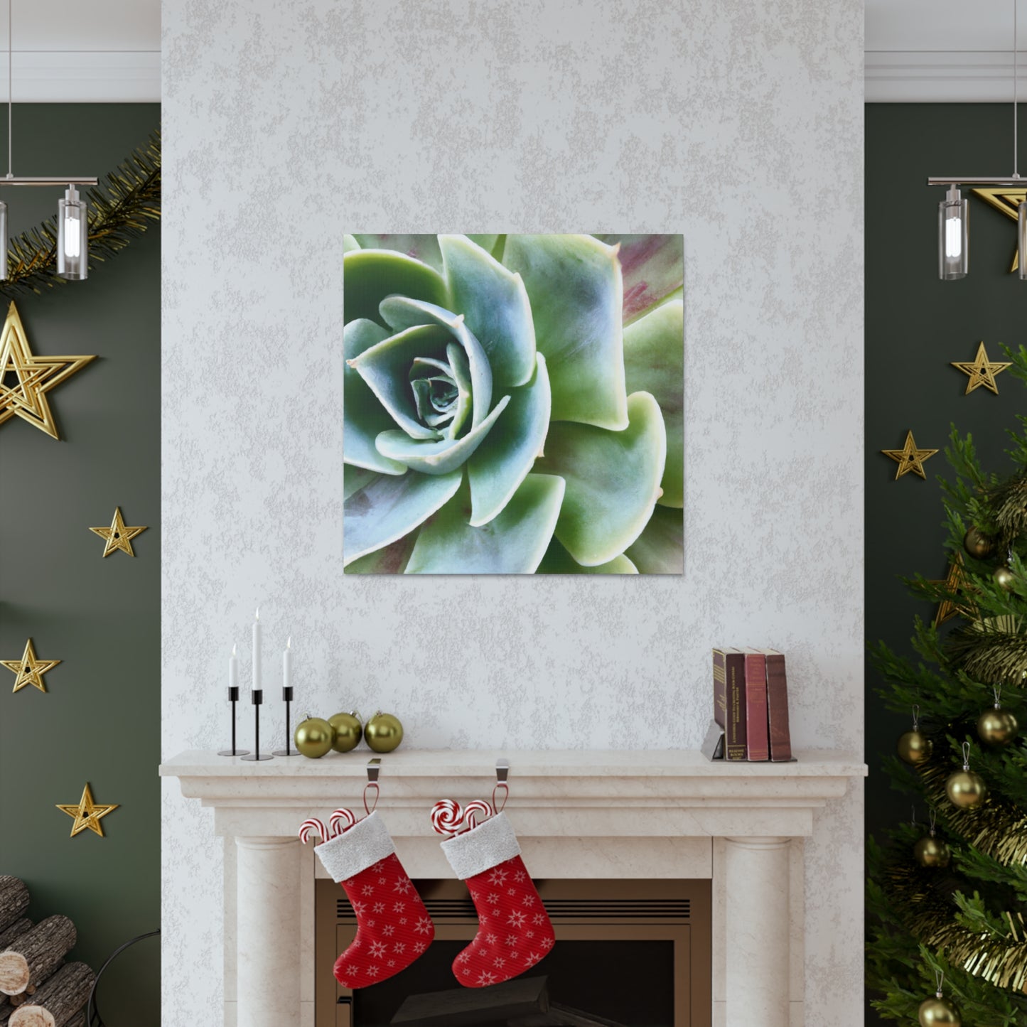 Garden of Delights - Canvas - Succulent