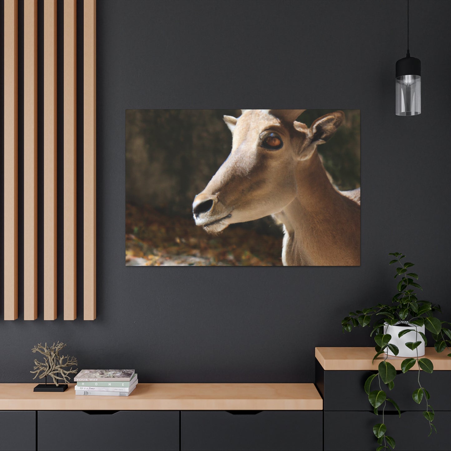 Elky Horn - Canvas Wildlife