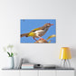 Scalecrawler - Wildlife Canvas