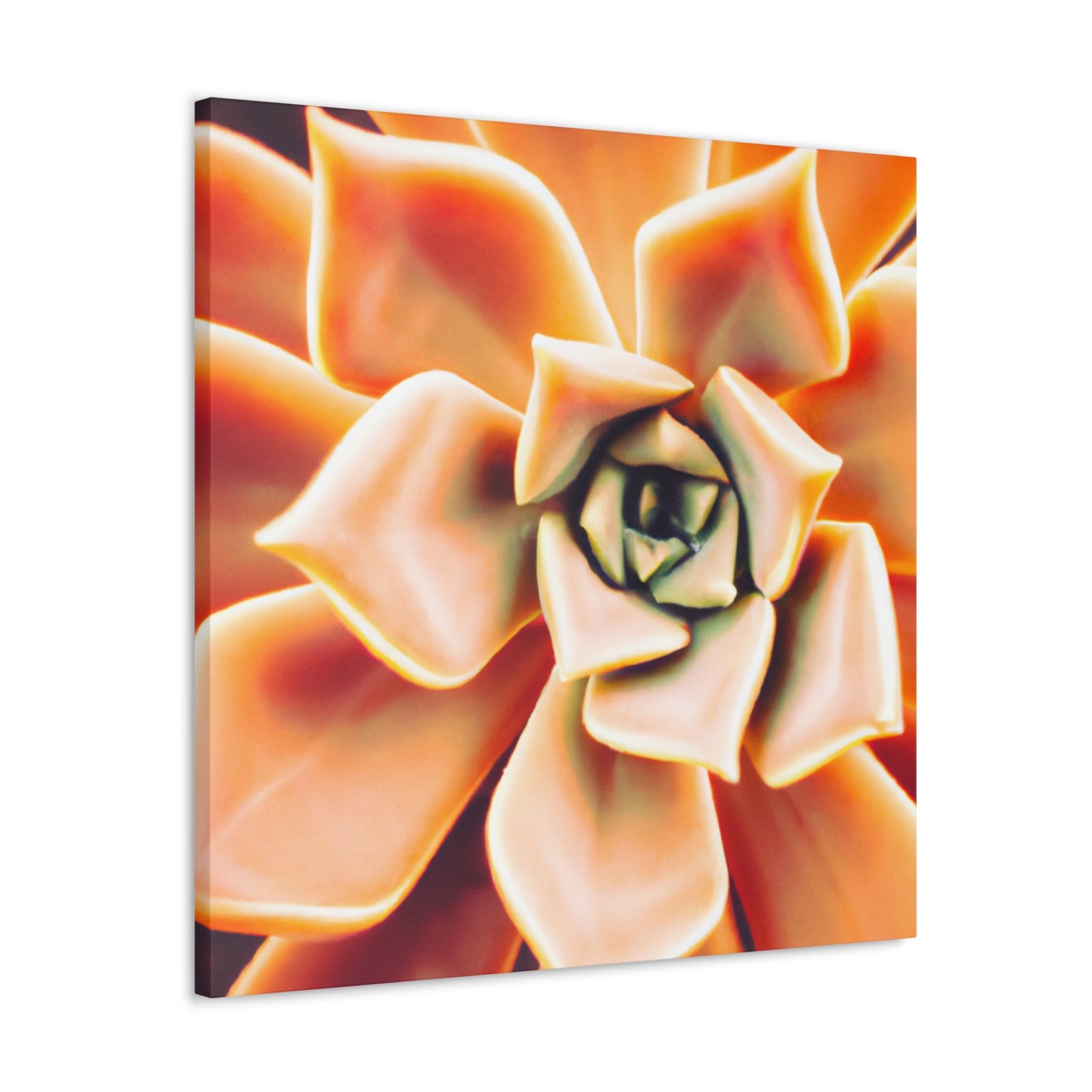 "Melon Symphony" - Canvas - Succulent