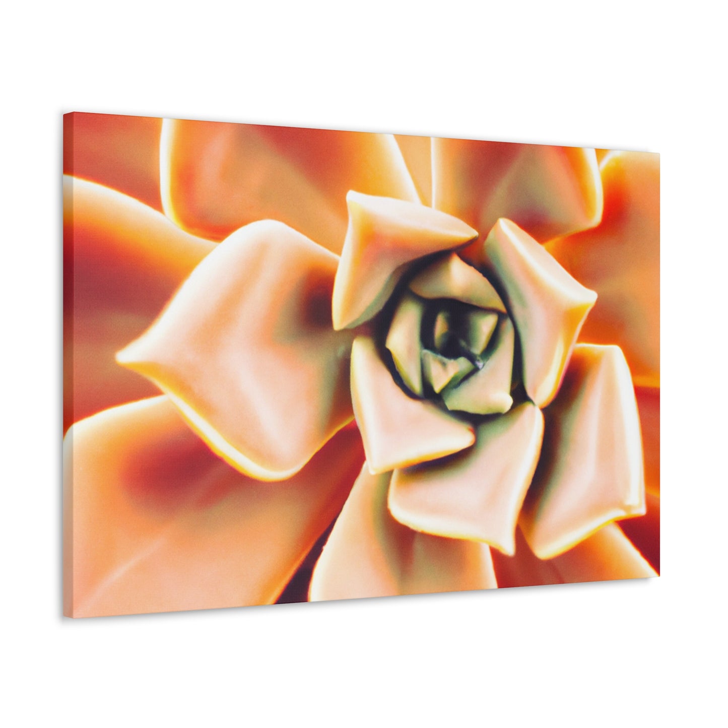 "Melon Symphony" - Canvas - Succulent