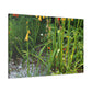 Blooming Floral Garden - Floral Canvas