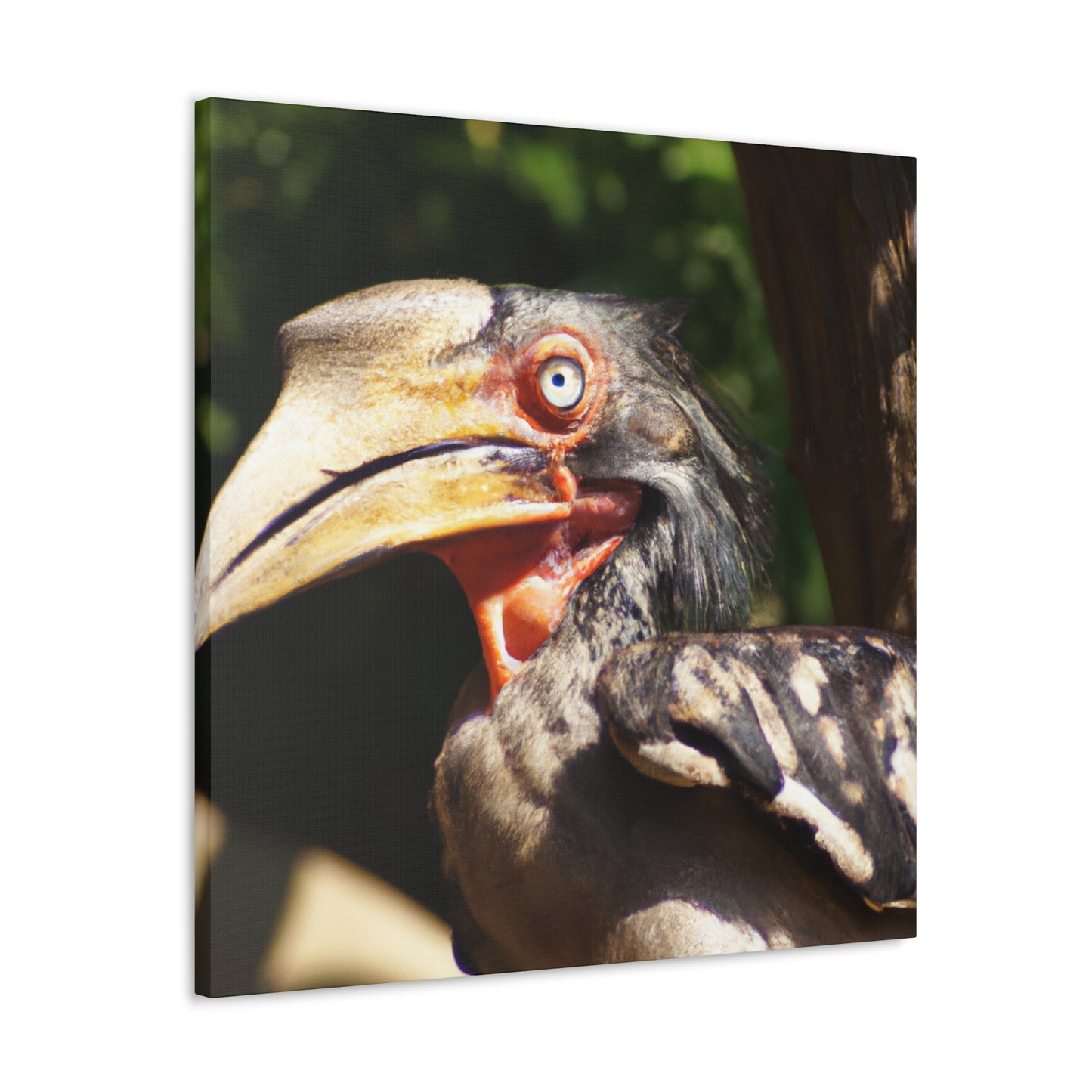 Scary Feathers - Canvas - Wildlife