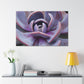Aeolus, the Keeper of the Winds. - Canvas - Succulent