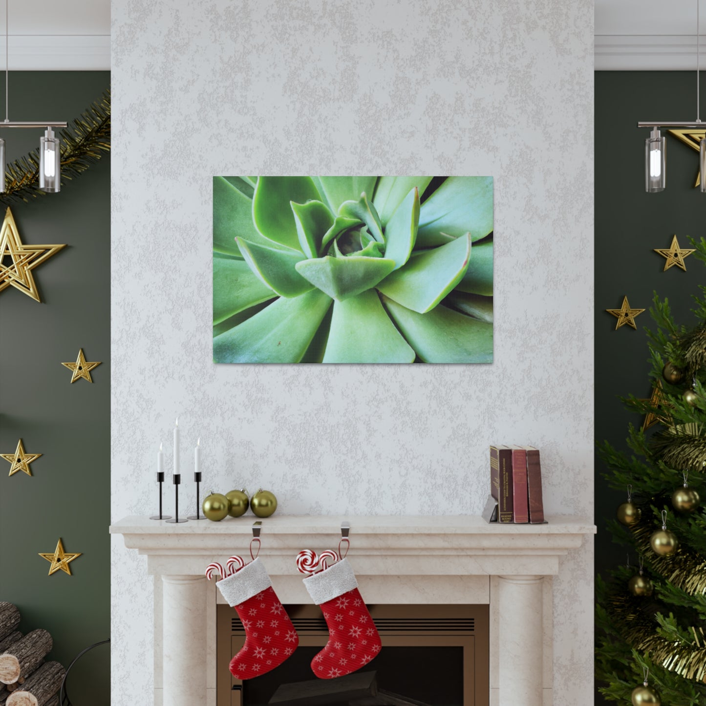 "Garden Paradise" - Canvas - Succulent