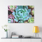 "Garden of Abundance" - Canvas - Succulent