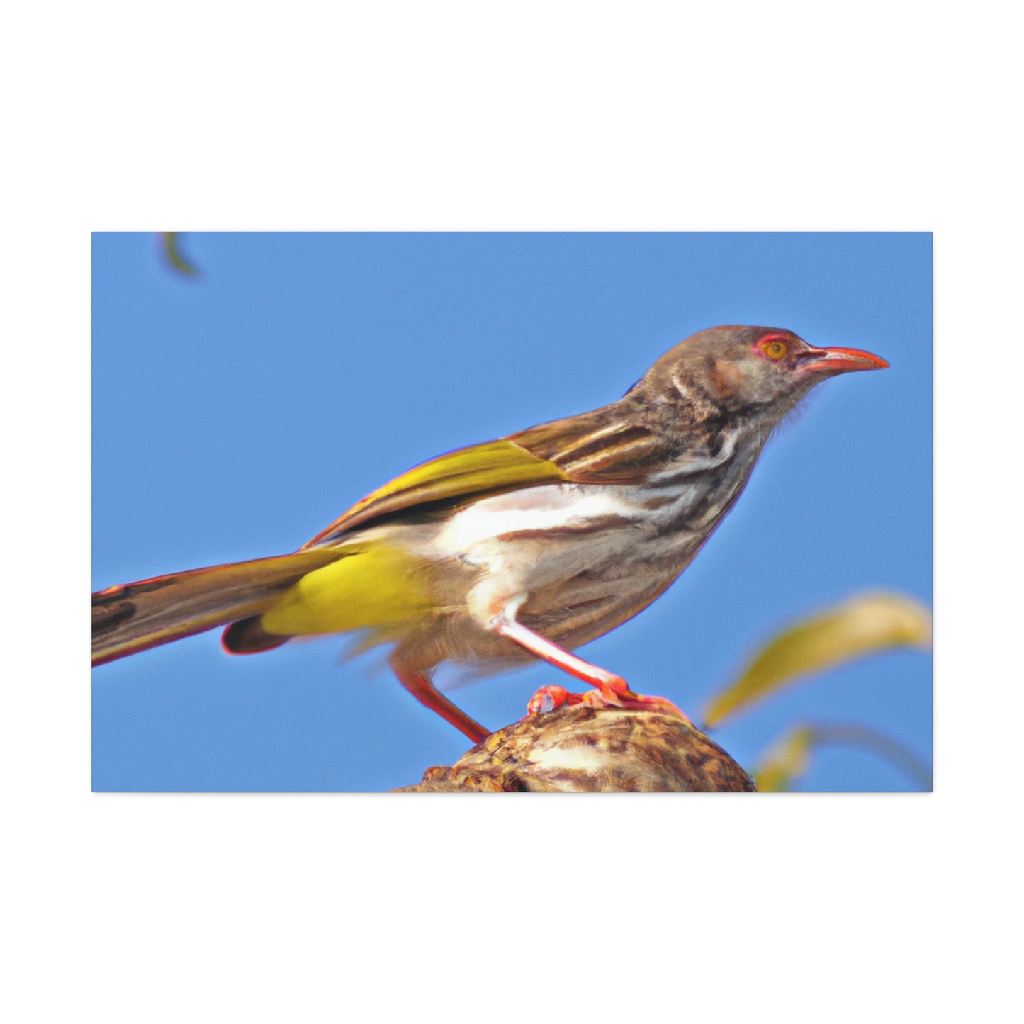 Scalecrawler - Wildlife Canvas