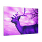 Purple King. - Canvas - Wildlife