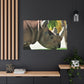Rhino Head - Canvas - Wildlife