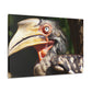Scary Feathers - Canvas - Wildlife