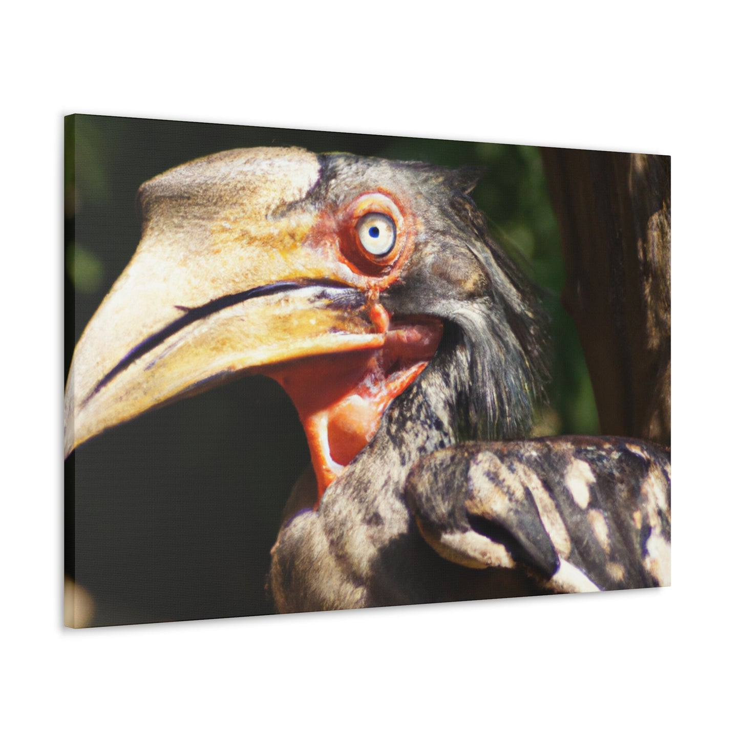 Scary Feathers - Canvas - Wildlife