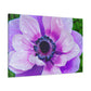 Garden Blooms. - Canvas - Floral