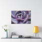 Aeolus, the Keeper of the Winds. - Canvas - Succulent