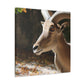 Elky Horn - Canvas Wildlife