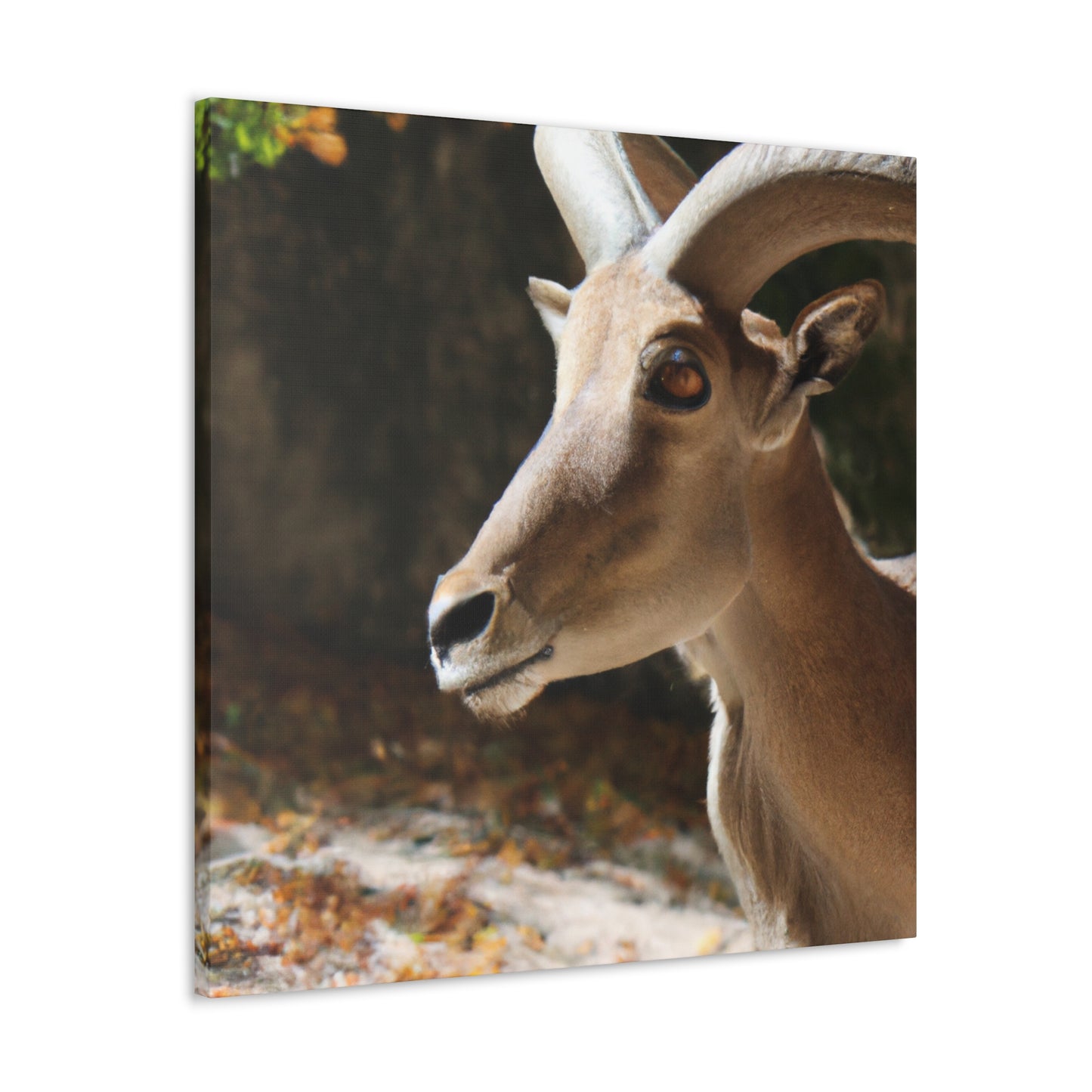 Elky Horn - Canvas Wildlife
