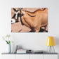 Stripespike. - Canvas Wildlife