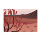Mojave Mirage - Landscape - Canvas