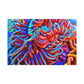 "Ebb and Flow" - Underwater Canvas