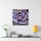 Aeolus, the Keeper of the Winds. - Canvas - Succulent