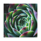 "Flowering Patio" - Canvas - Succulent