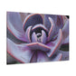Aeolus, the Keeper of the Winds. - Canvas - Succulent
