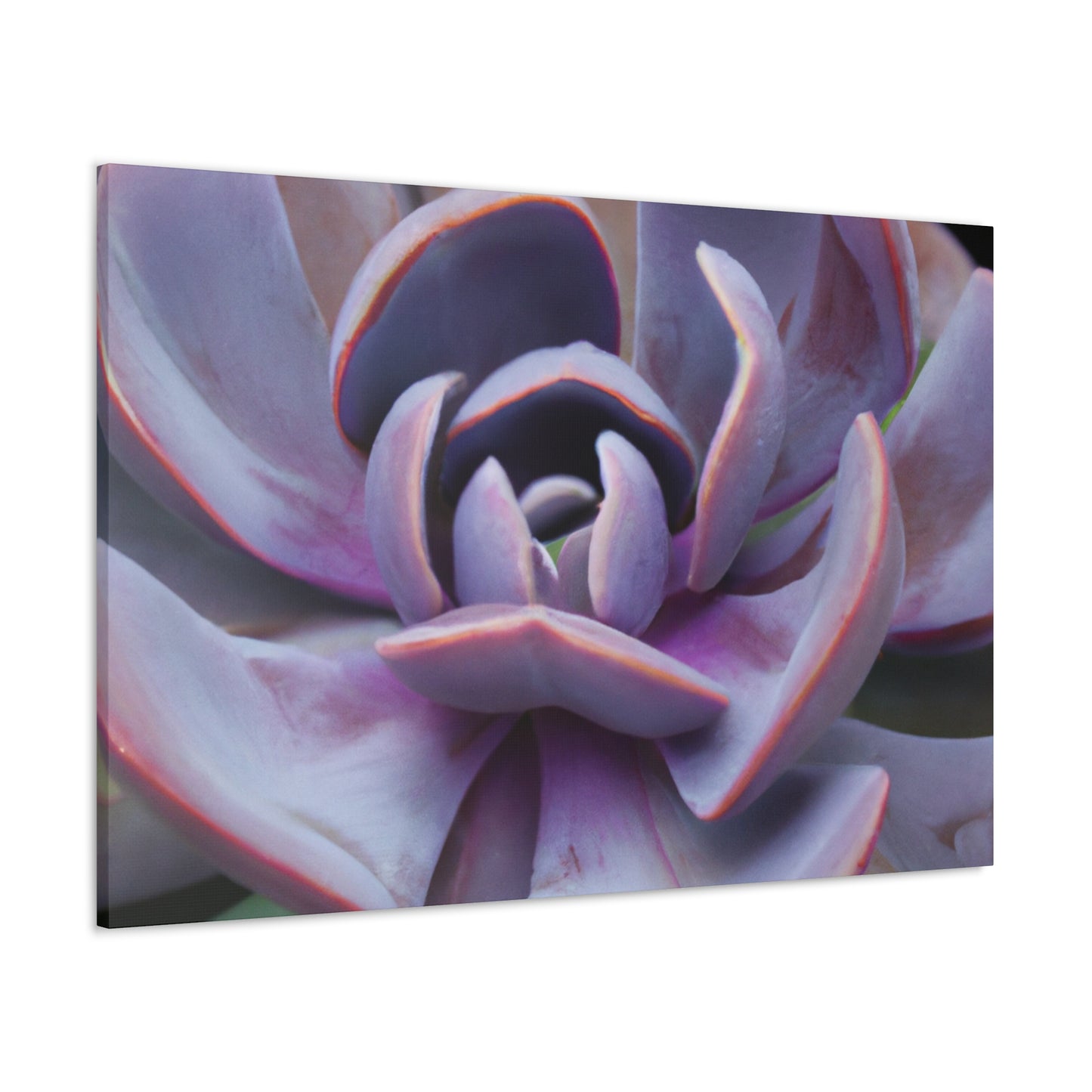 Aeolus, the Keeper of the Winds. - Canvas - Succulent