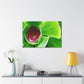 Pandora of the Underworld - Canvas - Succulent