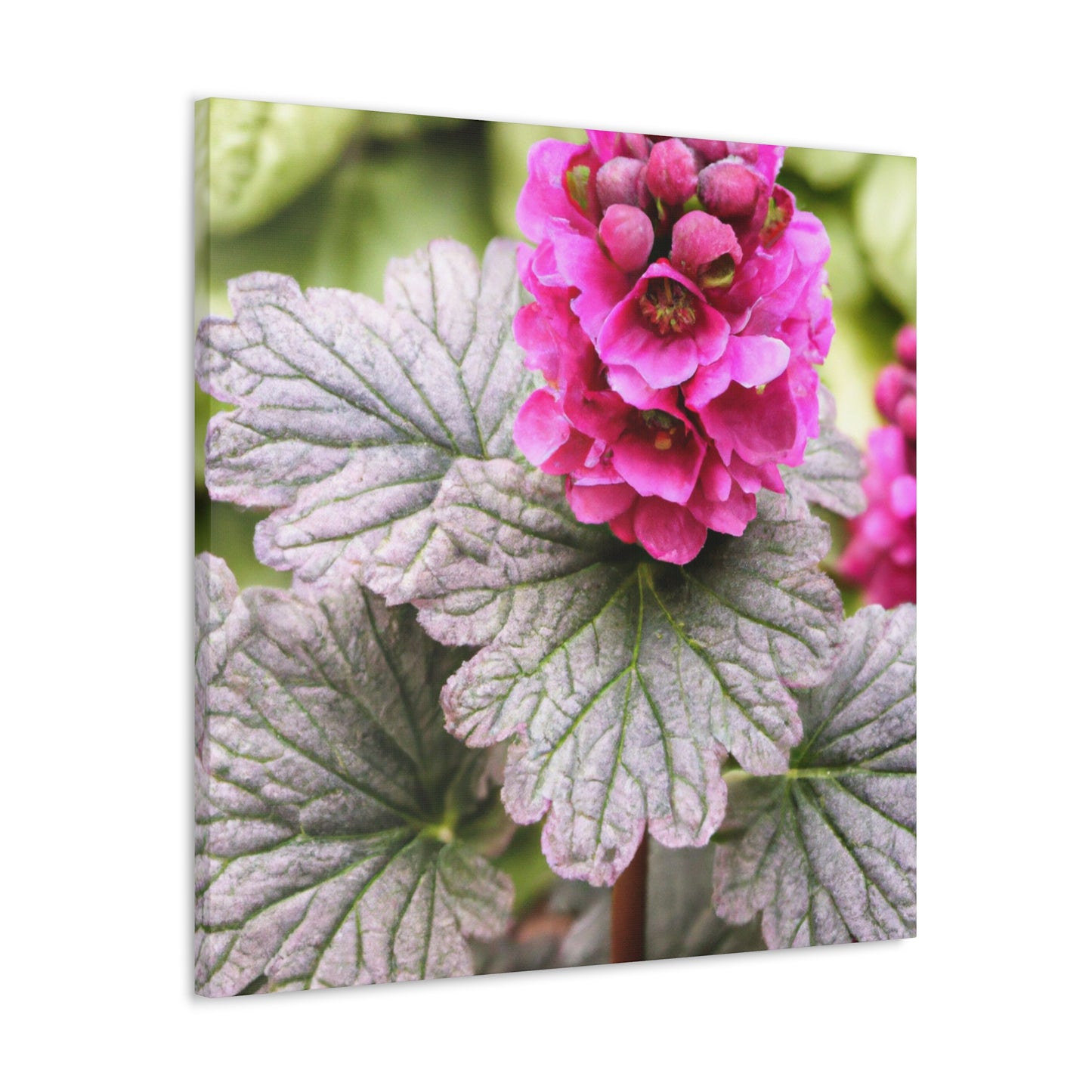 "Garden Fountain Fantasia" - Canvas - Floral