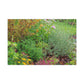 Summertime Garden Dance. - Canvas - Floral
