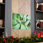 "Garden Paradise" - Canvas - Succulent