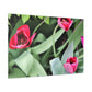 Pink Pop Ups - Canvas - Floral