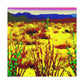 DuneScape- Landscape - Canvas