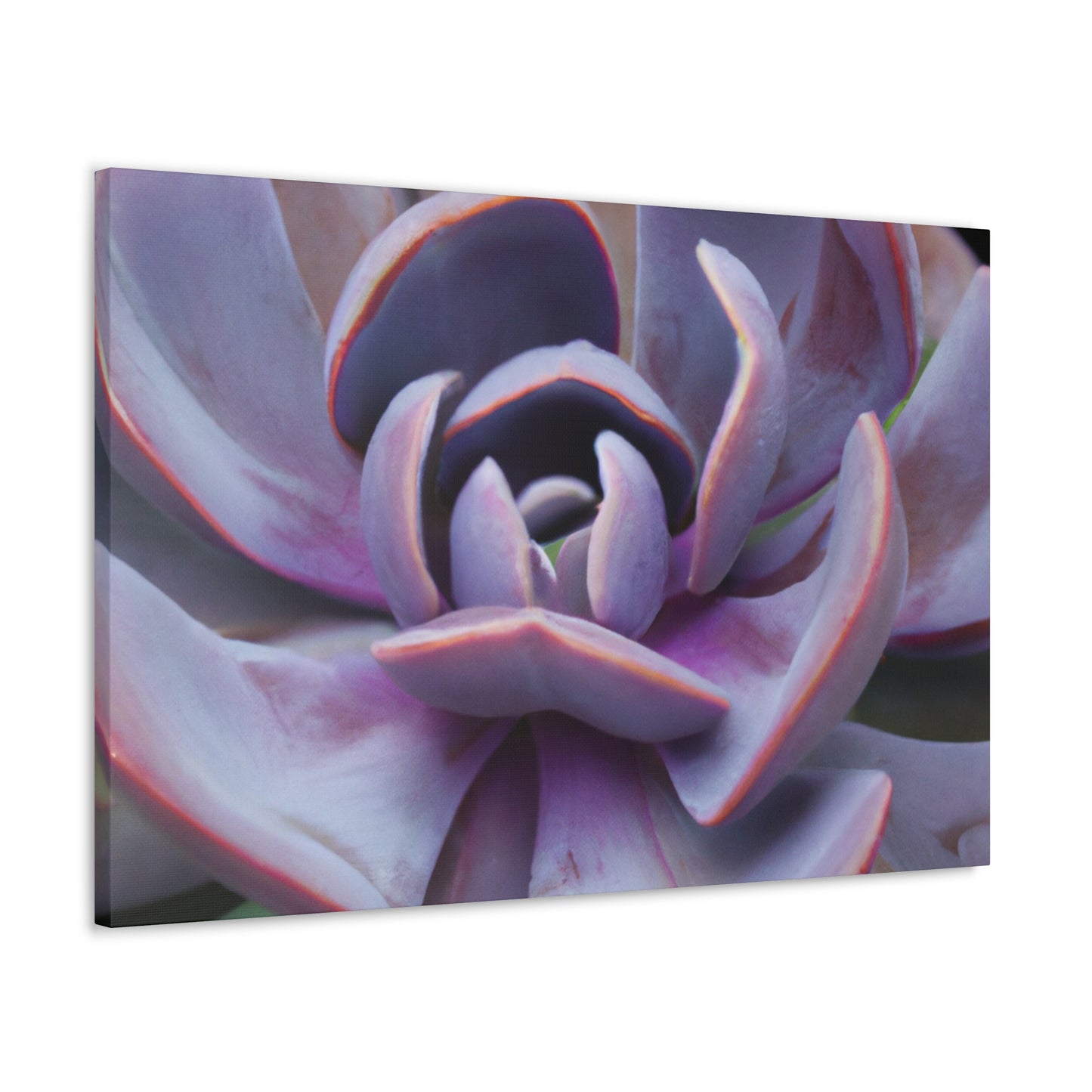 Aeolus, the Keeper of the Winds. - Canvas - Succulent
