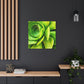 Neon Life. - Canvas - Succulent