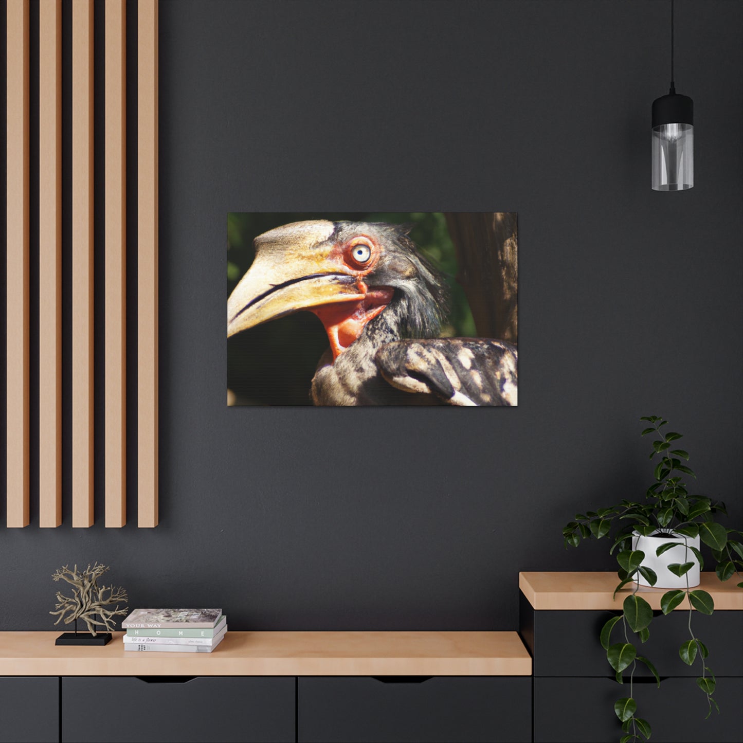 Scary Feathers - Canvas - Wildlife