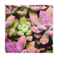 Blooming Garden Delight - Canvas - Succulent