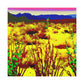 DuneScape- Landscape - Canvas