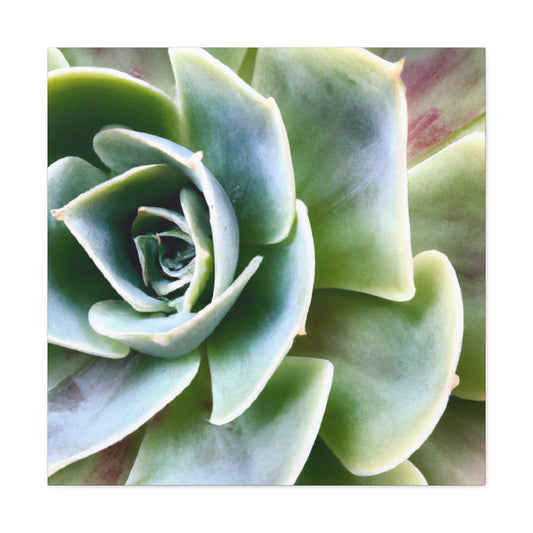 Garden of Delights - Canvas - Succulent
