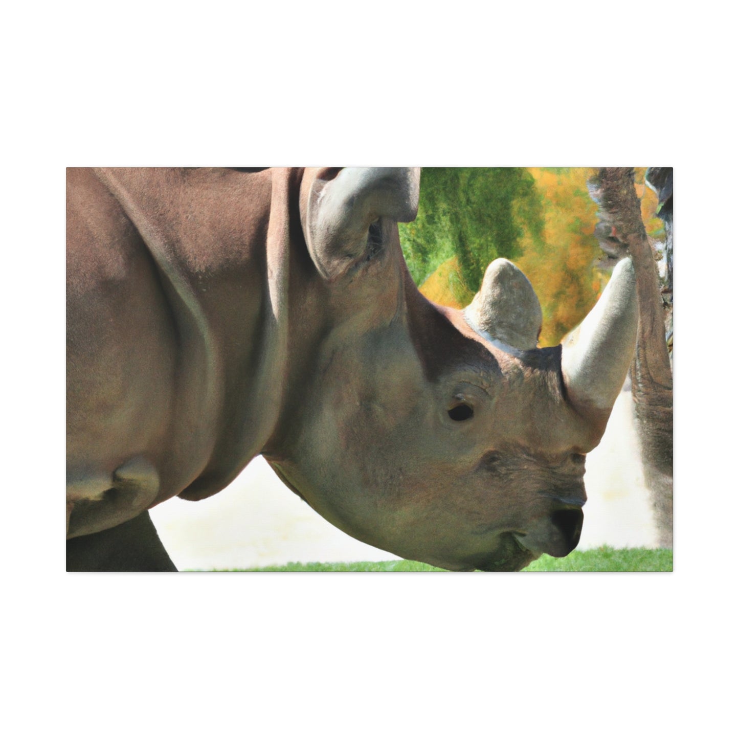 Rhino Head - Canvas - Wildlife