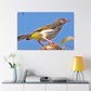 Scalecrawler - Wildlife Canvas