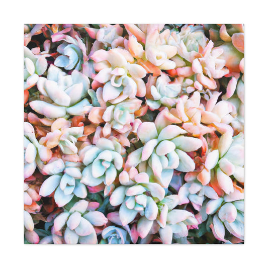 Floral Bouquet in the Garden. - Canvas - Succulent