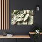 Neutral Close Up - Canvas - Succulent