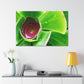 Pandora of the Underworld - Canvas - Succulent