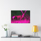 Pink Steer - Canvas - Wildlife