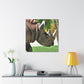 Rhino Head - Canvas - Wildlife