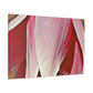 Pink Elder - Canvas - Floral