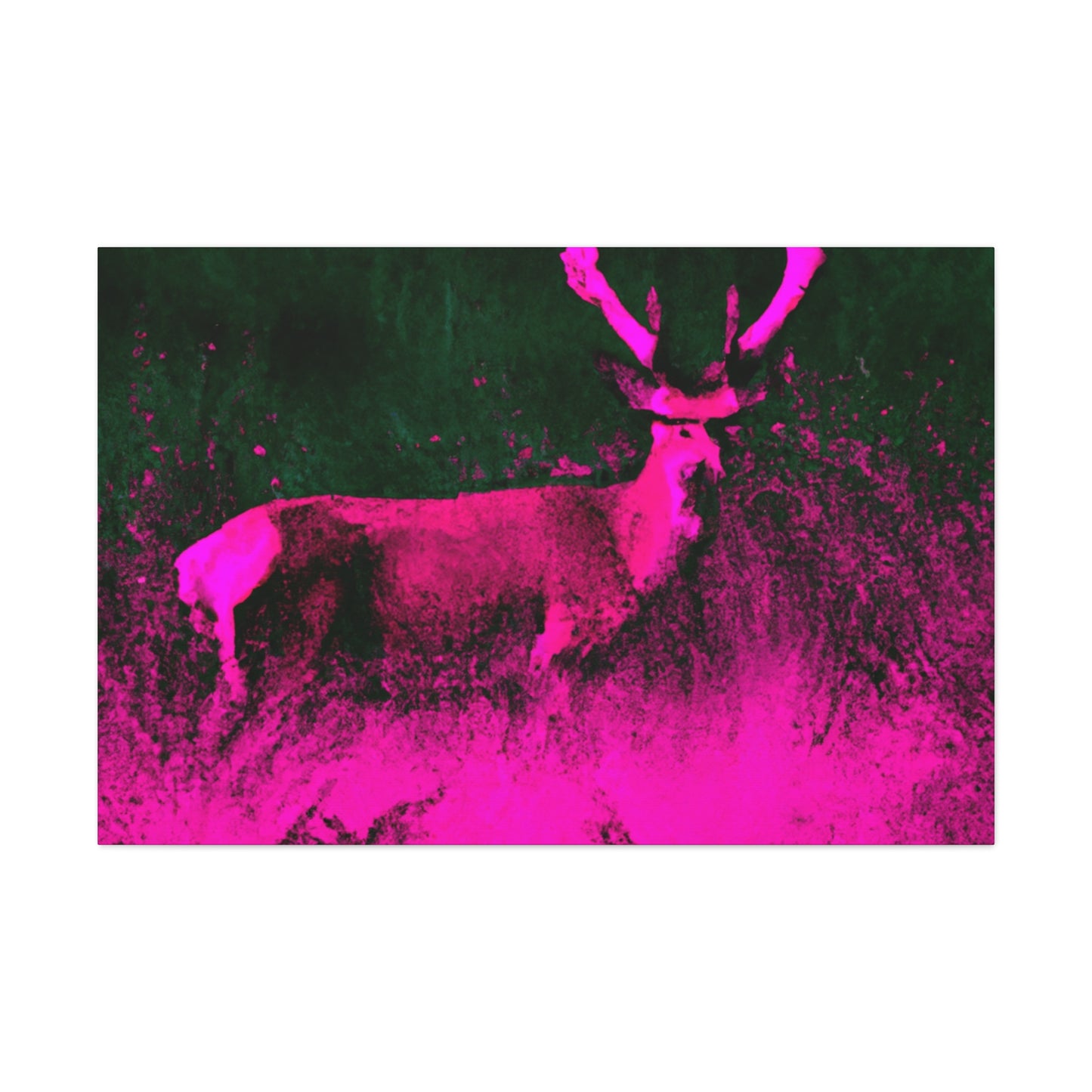 Pink Steer - Canvas - Wildlife